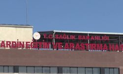 Mardin'de güvenlik korucusu kulesine çarpan otomobildeki 1 kişi öldü, 1 kişi ağır yaralandı