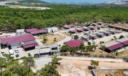 Mersin Büyükşehir Belediyesi Silifke Rehabilitasyon ve Yaşam Alanı'nda can dostlar emin ellerde