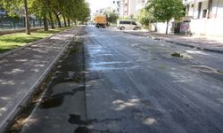 Milas Belediyesi'nden Ahmet Yesevi Caddesi'nde sıcak asfalt çalışması