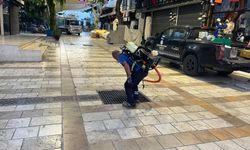 Muğla Büyükşehir ve Bodrum Belediyeleri'nden ortak ilaçlama çalışması