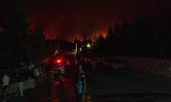 Muğla Milas yangını 11'inci saatinde devam ediyor