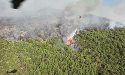 Muğla'da 3 ilçede orman yangını: Ekiplerin müdahalesi sürüyor