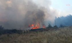 Muğla'da ormana sıçrayan yangın kontrol altına alındı