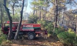 Muğla'da ziraat alanından ormana sıçrayan yangında 1 gözaltı