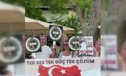 Sinop Hayvan Hakları Platformu : 'Sokak canları sahipsiz değildir'