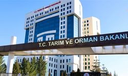 Tarım Orman Bakanlığından 'çekirge istilası' haberlerine ilişkin açıklama: Mücadeleyi gerektirecek bir durum bulunmamaktadır