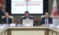 TBMM Adalet Komisyonu'nda Çocuk Koruma Kanunu teklifi görüşmeleri usul tartışmasıyla başladı