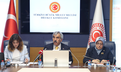 TBMM Dilekçe Komisyonu, Akran Zorbalığı Alt Komisyonu Raporu'nu oy birliğiyle kabul etti
