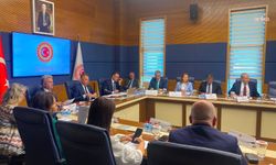 TBMM Dışişleri Komisyonu'nda Suriye ile sağlık protokolü ve Uluslararası Zeytinyağı Anlaşması kabul edildi