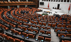 TBMM Genel Kurulu... CHP'li Suiçmez: 'Trabzon'da iktidar için vargit çiçekleri açtı'