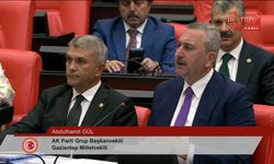 TBMM Genel Kurulu'ndan CHP'li Emir'den AK Partili Gül'e 'Ahbap' çıkışı