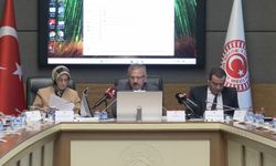 TBMM Okul Saldırılarını Araştırma Komisyonu... RTÜK araştırmasına göre, gençlerin yüzde 88,1'i sosyal medyaya yasal yaş sınırı getirilmesini destekliyor