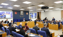 TBMM Plan ve Bütçe Komisyonu... Sinema Genel Müdürü Güven: Sinema şu an yoğun bakımda