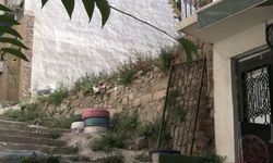 Toplatma tartışmalarının gölgesinde Karataş'ta 'Kedi Mahallesi' projesi...Sarper Yeniçeri: 'Hem kediler hem insanlar için yaşam alanı'
