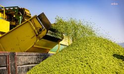 Toprağın bereketi SuperFresh'in 'hasat'ıyla yılın 365 günü sofralarda