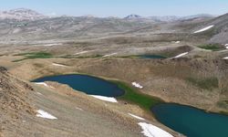Tunceli'de plansız otlatma Katır Gölleri'ni çölleştirdi