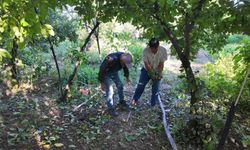 Yozgat'ta dolunun verdiği hasarın tespitine başlandı