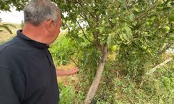 Yozgat'ta etkili olan dolu tarım alanlarına zarar verdi