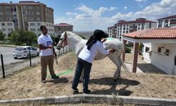 Yozgat'ta minikler ata binmenin heyecanını yaşadı