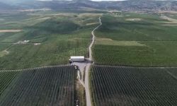 Yozgat'ta yağışlar meyve rekoltesini yükseltti, rekor hasat bekleniyor