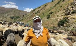 Yüksekovalı berivanlar kavurucu sıcakta gölgelik sözü için yetkililere seslendi