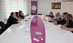 Almanya Yeşiller Partisi heyeti DEM Parti'yi ziyaret etti