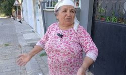 Aydınlı çift, yuvadan düşen bebeklere 'annelik-babalık' yapıyor: 'Sanki kendi evimizde canlı belgesel seyrediyoruz'
