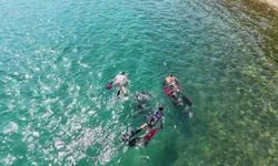 Bodrum'da denizdeki atıkların arasından taş mercan ve bebek ahtapot çıktı