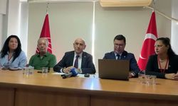 CHP'li Kaya: 'Cumhuriyet demokrasiyle taçlandırılırsa tek adam rejimine 'dur' diyebiliriz'