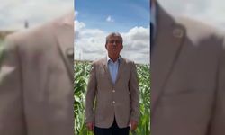 Gökhan Günaydın'dan TMO'ya 'nohut alımı' için çağrı: Çiftçiyi tatmin edecek fiyatla derhal alıma başlayın