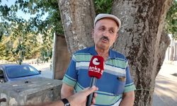 Isparta'da hububat hasadı sürüyor: Verim iyi ancak üreticinin yüzü gülmüyor