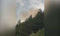 Kahramanmaraş'ta yıldırım düşen iki noktada orman yangını çıktı