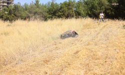 Karabağlar'dan yabani ot temizliğinde teknolojik hamle