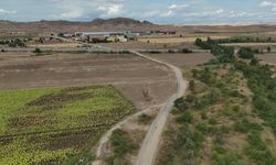 Yozgat'ta 25 yıldır asfaltlanmayan yol tepkilere neden oldu