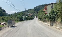 Zonguldak Ereğli'de mahallelinin 'kamyon' mücadelesi: Toz ve gürültü içinde yaşıyoruz