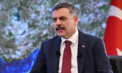 Çiftçi sahipsiz hayvanlar için ekim sonunu işaret etti