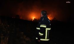 Adana'da yangınlarla mücadele sürüyor: Büyükşehir Belediyesi ekipleri teyakkuzda
