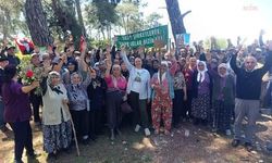 Akbelen'den dayanışma çağrısı: 'Toprak talan edildiğinde geri dönüşü yok'
