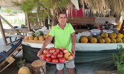 Akbelenli köylülerin ürünleri imece usulüyle tüketiciyle buluşuyor