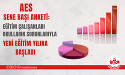 Anadolu Eğitim Sendikası'ndan sene başı anketi: Eğitim çalışanları okulların sorunlarıyla yeni eğitim yılına başladı