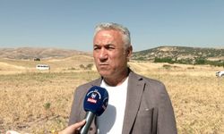 Ankara Büyükşehir Belediyesi'nin sertifikalı nohut tohumu desteği sonrası hasat başladı