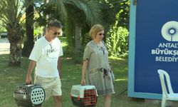 Antalya Büyükşehir Belediyesi'nin 'Mobil Kısırlaştırma Ünitesi' 6 Kasım'a kadar Karaalioğlu Parkı'nda