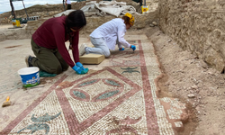 Bakan Ersoy duyurdu: Pompeiopolis'te Roma dönemine ait 105 metrekarelik mozaikler ortaya çıkarıldı