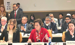 Bakan Yardımcısı Ekinci, New York'ta Rohingya krizi ile ilgili bir etkinliğe katıldı