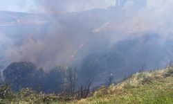 Bandırma'da arazi yangını ekiplerin müdahalesiyle söndürüldü