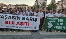 Bingöl'de 1 Eylül Dünya Barış Günü açıklaması