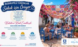 Bodrum sokakları kadınların el emeği ile renklenecek: 'Bodrumlu Kadınlar Sokak için Örüyor'