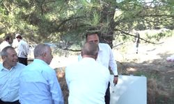 Bornova'da Dayanışma Bostanı'nda ilk hasat
