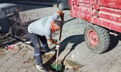 Burhaniye Belediyesi'nden yağış öncesi temizlik çalışması