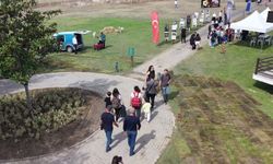 Bursa'da 'Arkeofest' ile 8 bin 500 yıllık geçmişe yolculuk